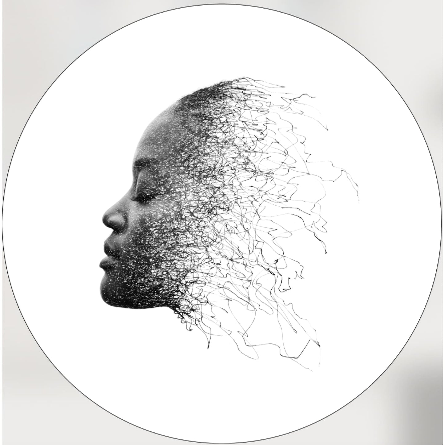 cuadro decorativo, decoración, sala, estudio, habitación, rostro mujer